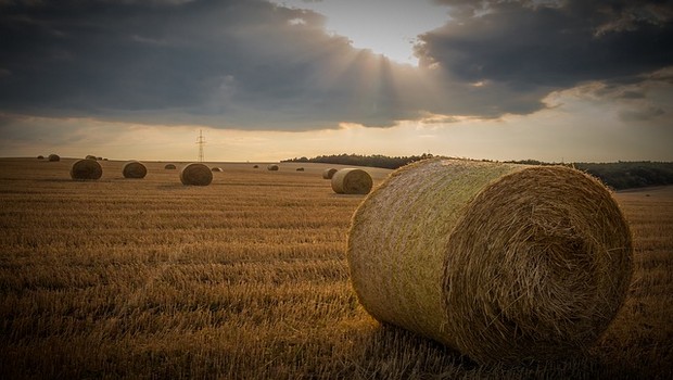 Vendita di terreni fuori campo Iva rileva nel fatturato ai fini del contributo del Decreto Sostegni